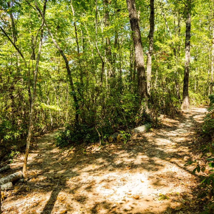 Near Natural Bridge Trail
