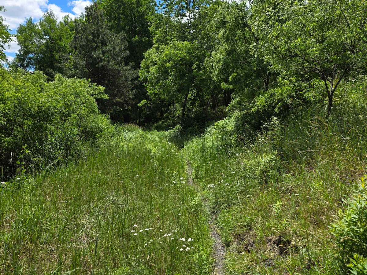 Single Track HH photo 5