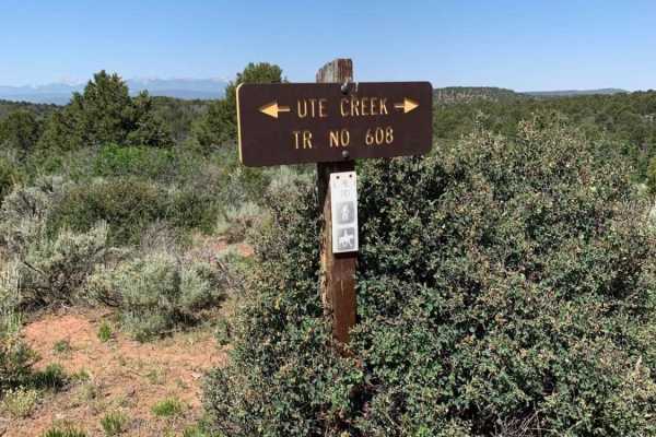 Ute Creek