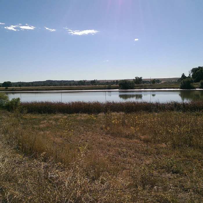 Near Dodd Reservoir Trail