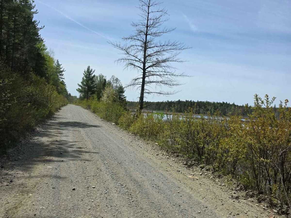 Moose Head Lake photo 4