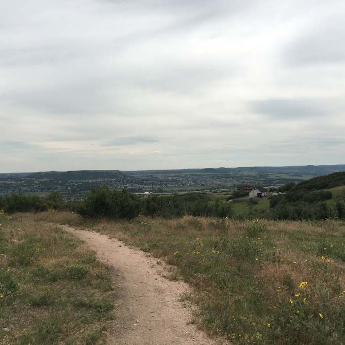 Near Philip Miller Park