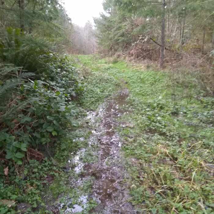 Near Hugo Peak Lookout