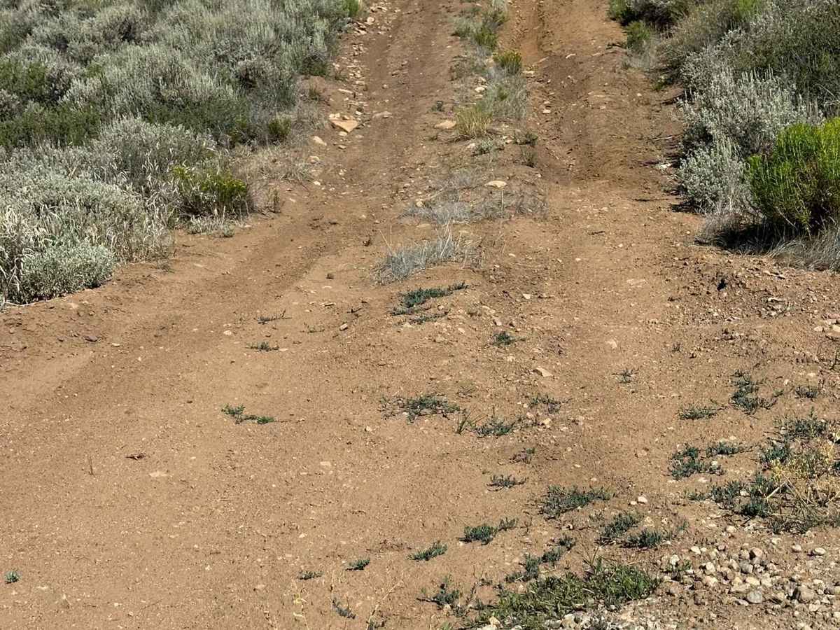 Valley View Road trail photo