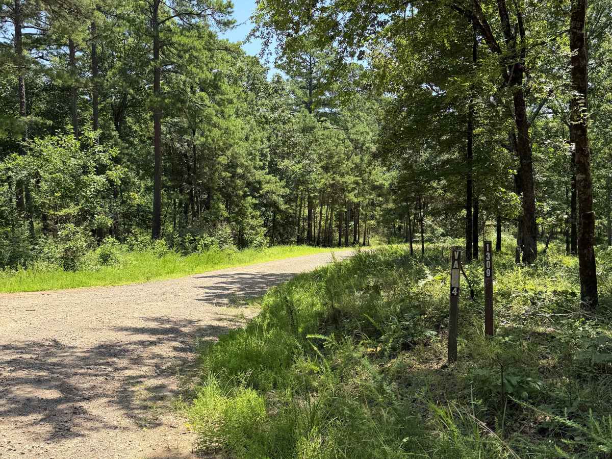 West Fork Scenic Drive trail photo