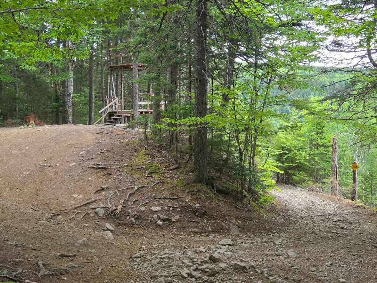 Crooked Creek Switchbacks trail photo