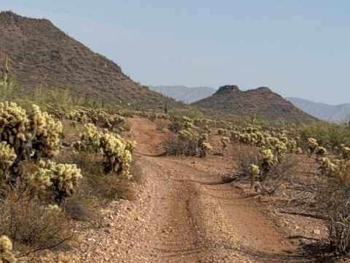 BLM 39160 photo 3