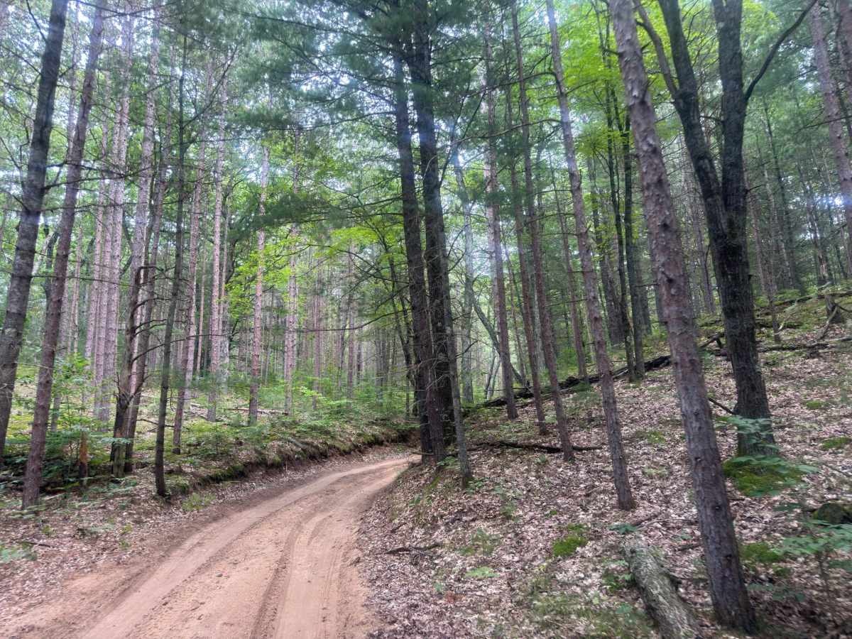 North Slagle Creek Road photo 4