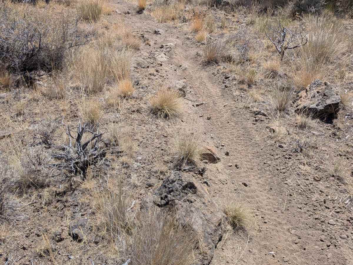 Cline Buttes OHV Trail 45 Loop photo 4