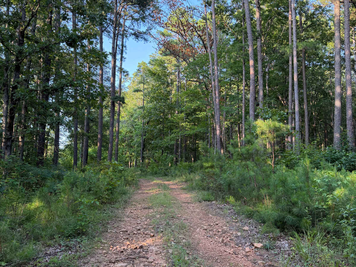 Rocky Branch trail photo