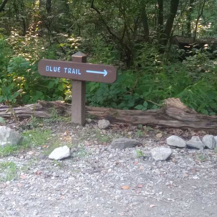Near 100 Steps Trail