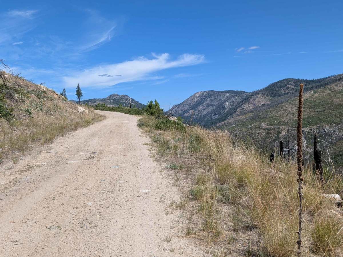West Fork Rock Creek Road photo 5