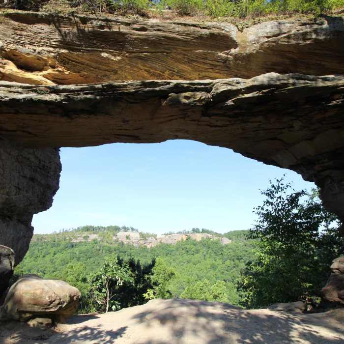 Near Auxier Ridge Loop Trail