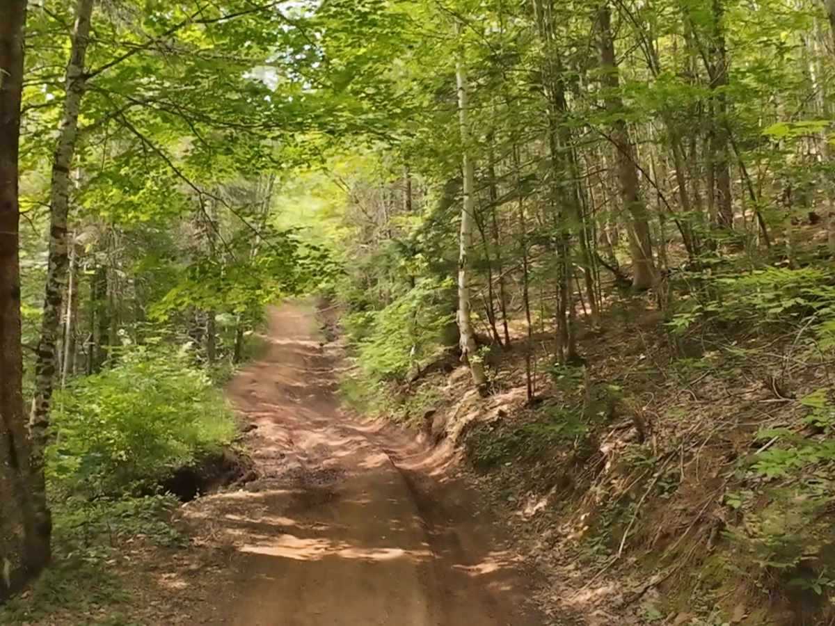 Sweet Mountain photo 3