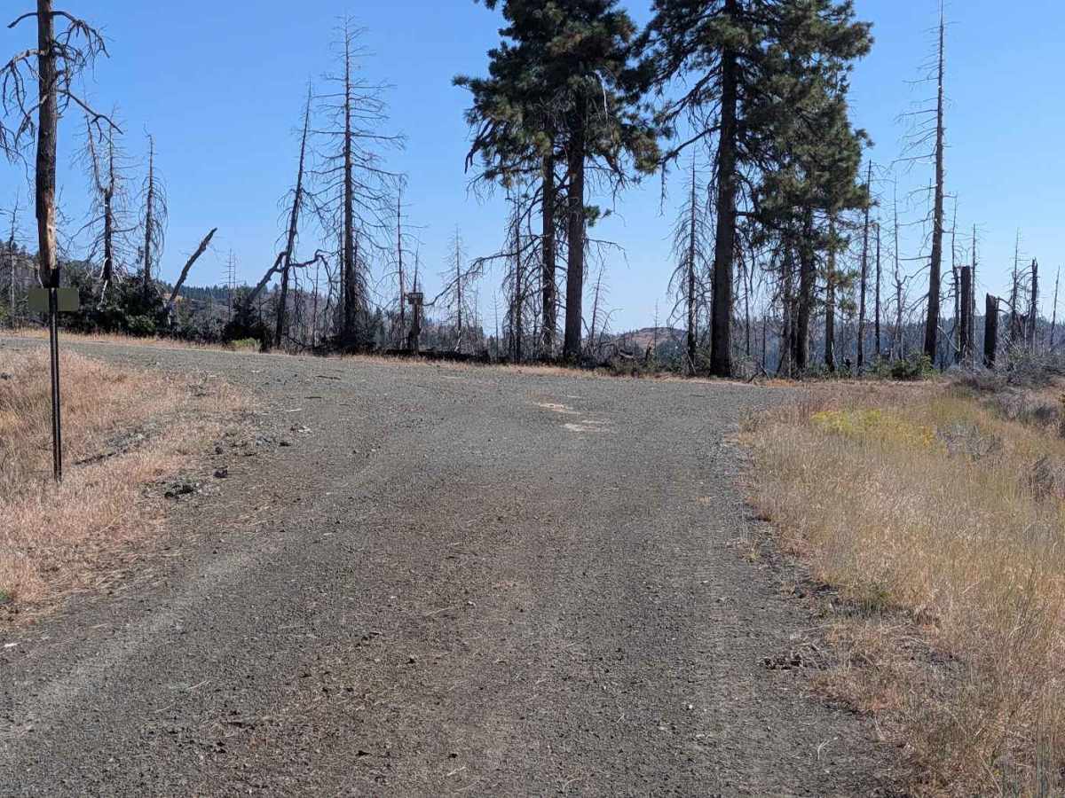 North Fork Smokey Creek Road - FS 29N48  photo 6