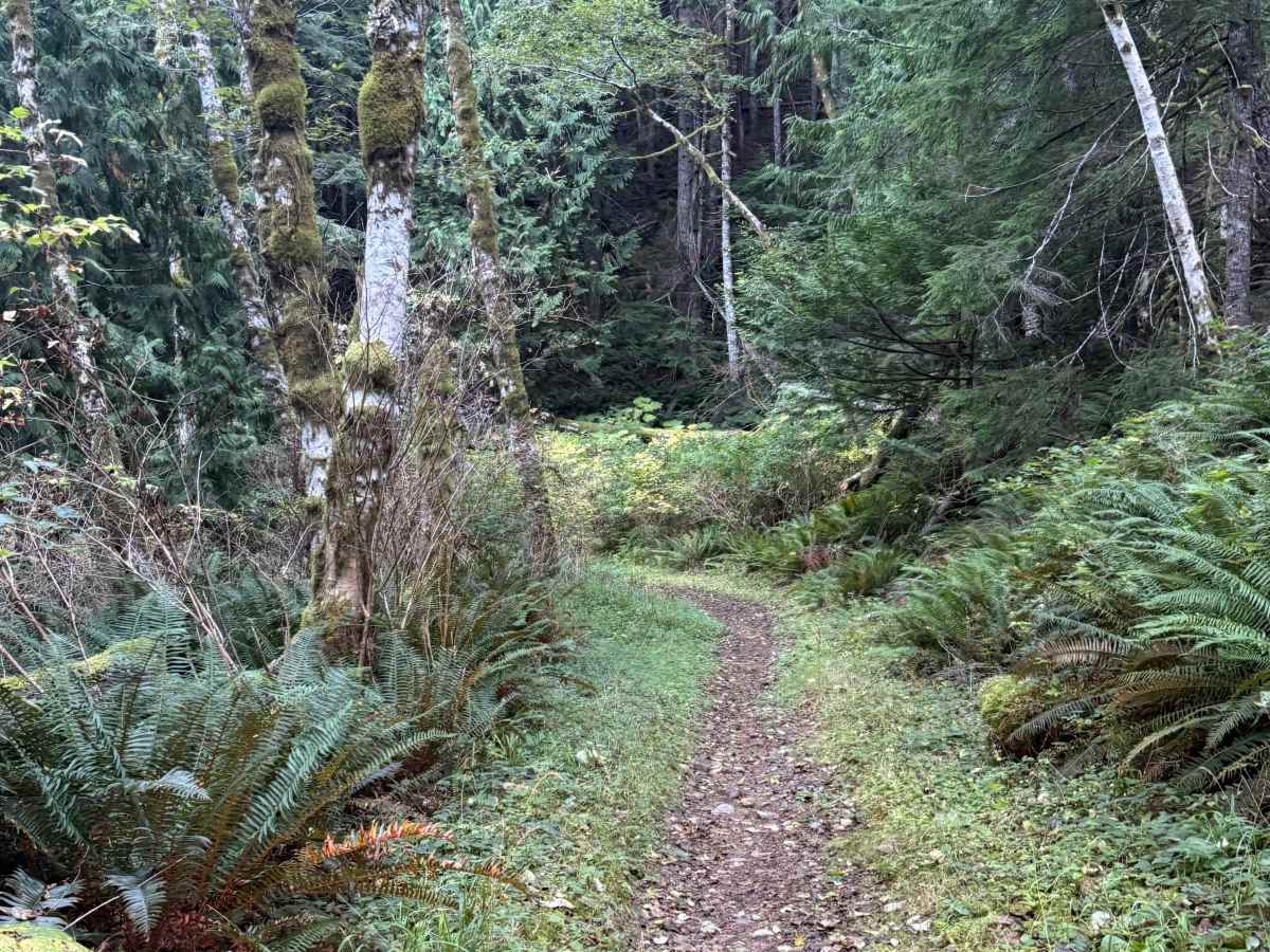 Upper Swanson photo 2