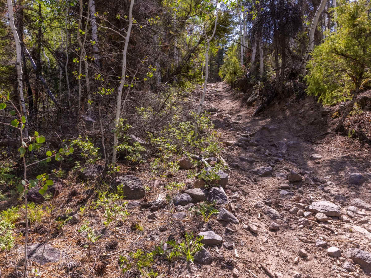Blind Lake Trail trail photo