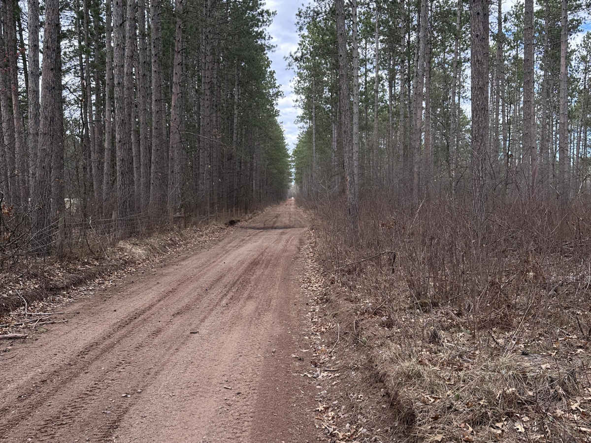 Doc's Trail photo 3
