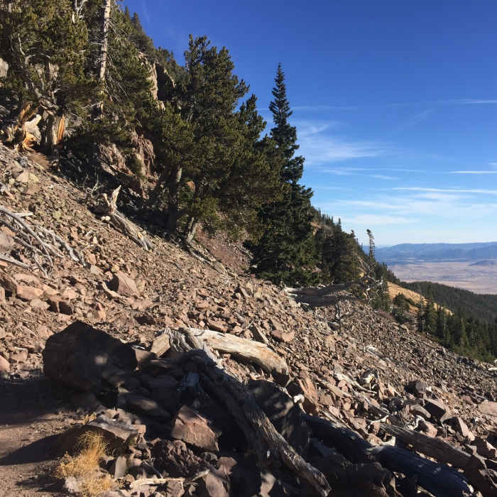 Near Comanche Trail #746