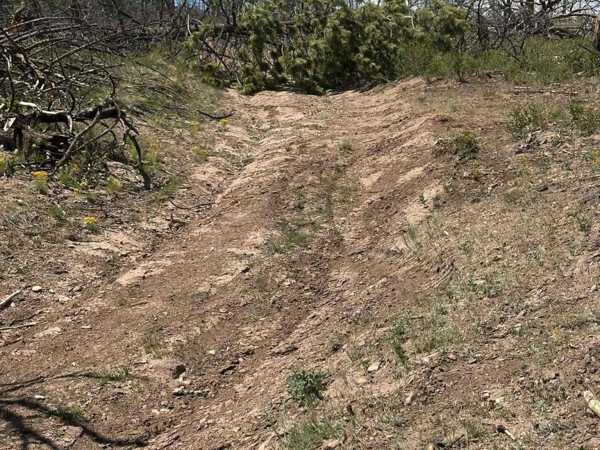 Pony Creek Road photo 6