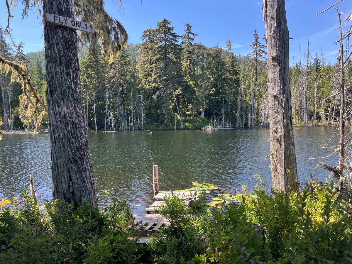 Pet's Pond trail photo
