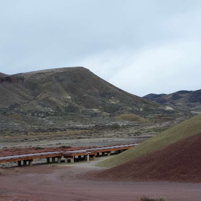 Near Painted Cove Trail