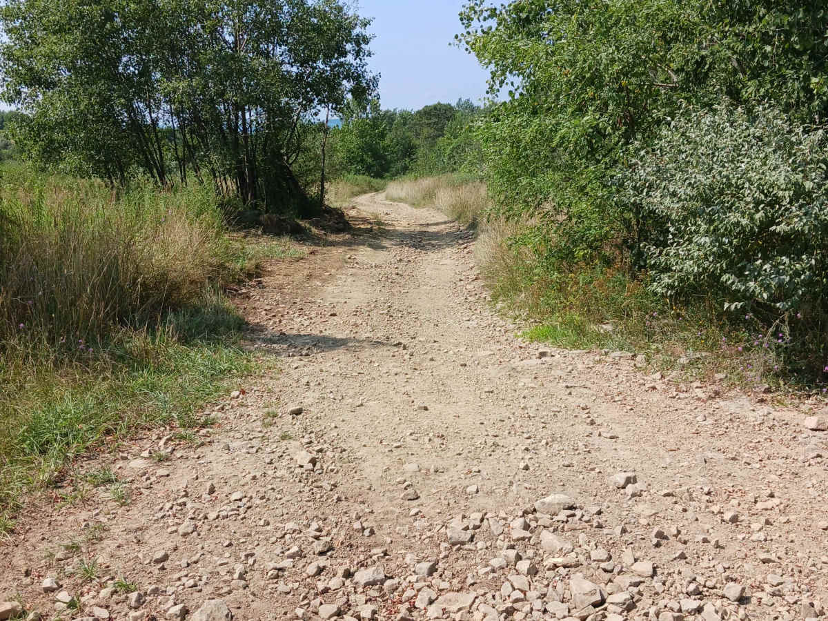 Grizzly Path - Rock Run Recreation Area photo 3