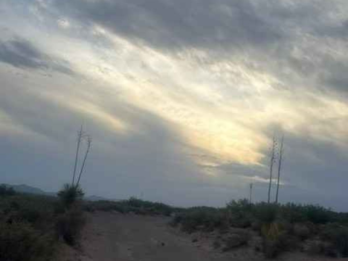 SS1106 photo 4