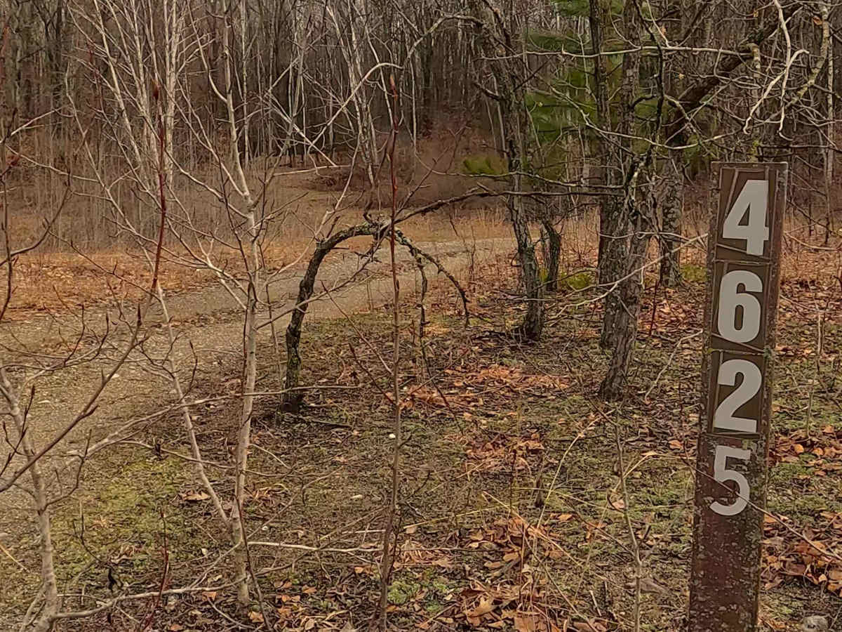 FS 4625 trail photo