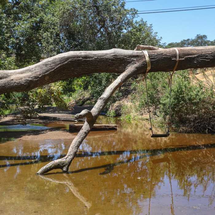 Near Dry Creek Trail