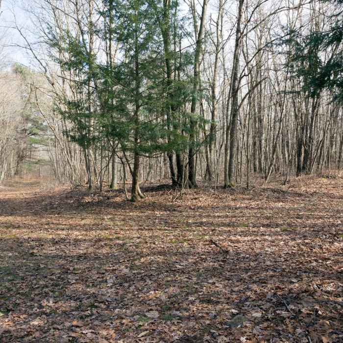 Near Woodland Way Trail Near Woodland Way Trail