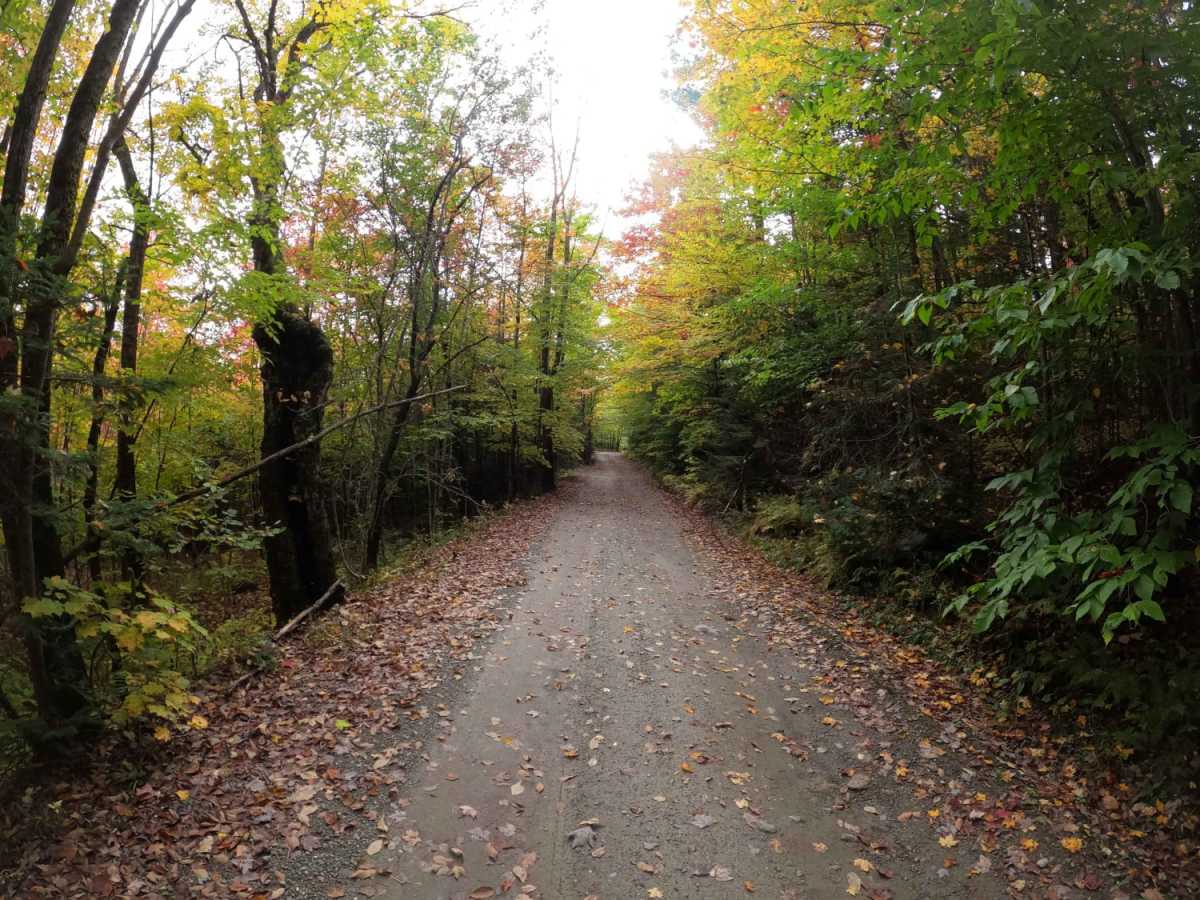 Stock Bridge Road to Woodstock photo 5