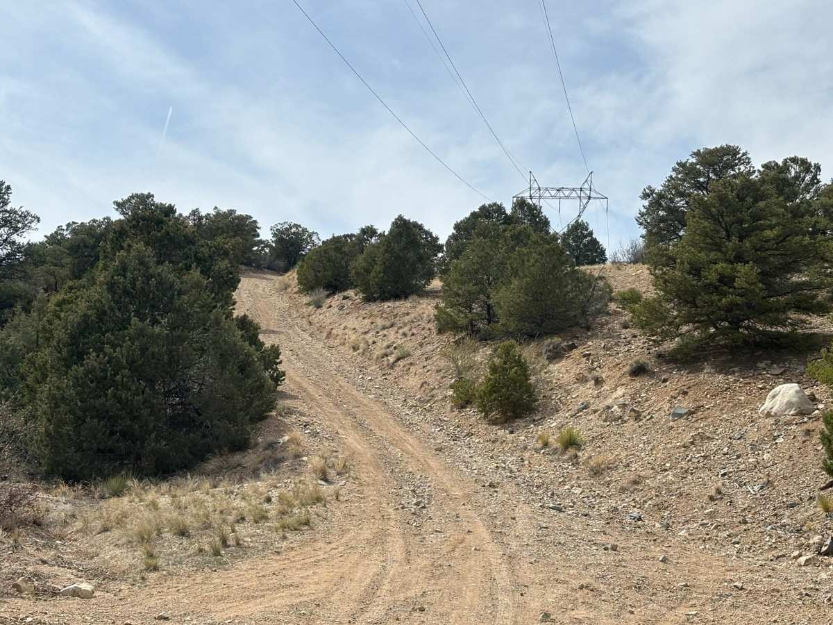 BLM 5669 photo 5