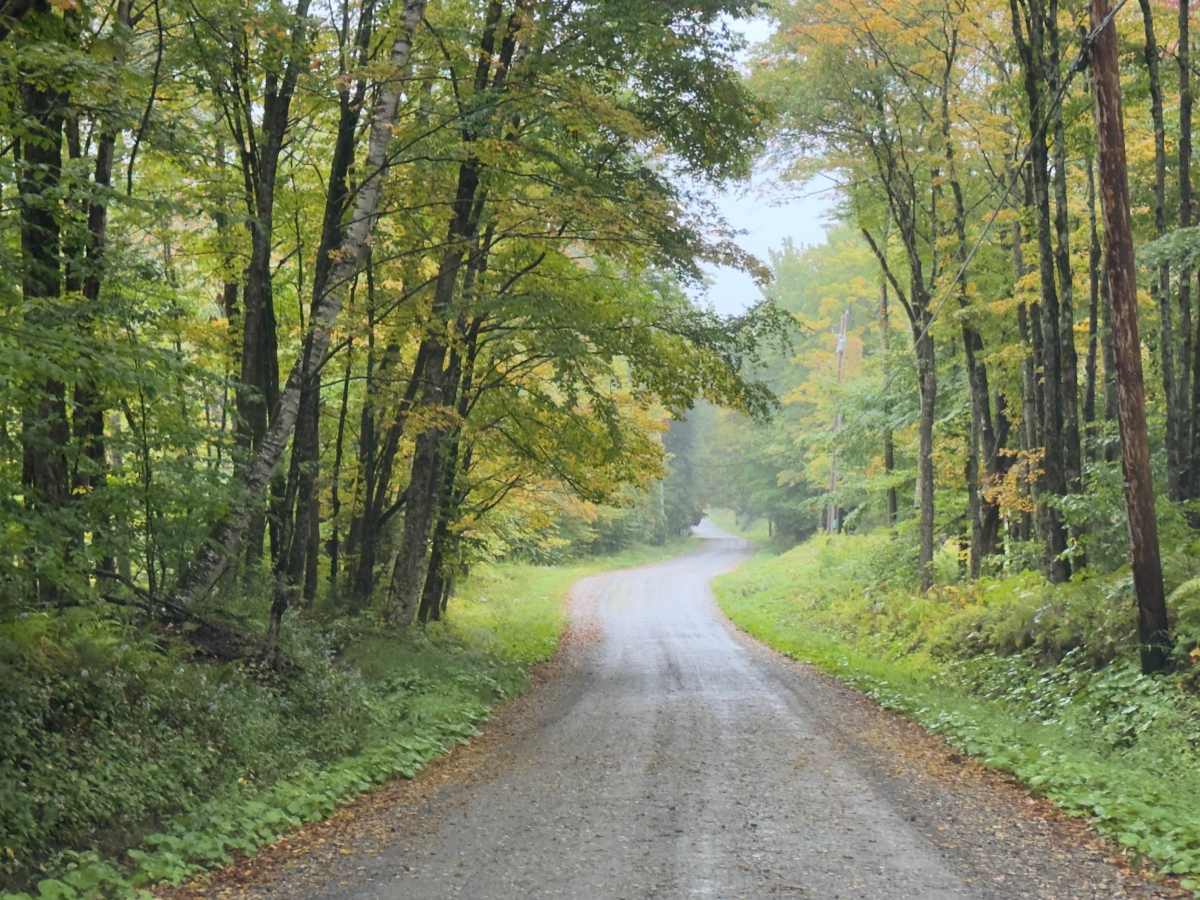 County Road Connection trail photo