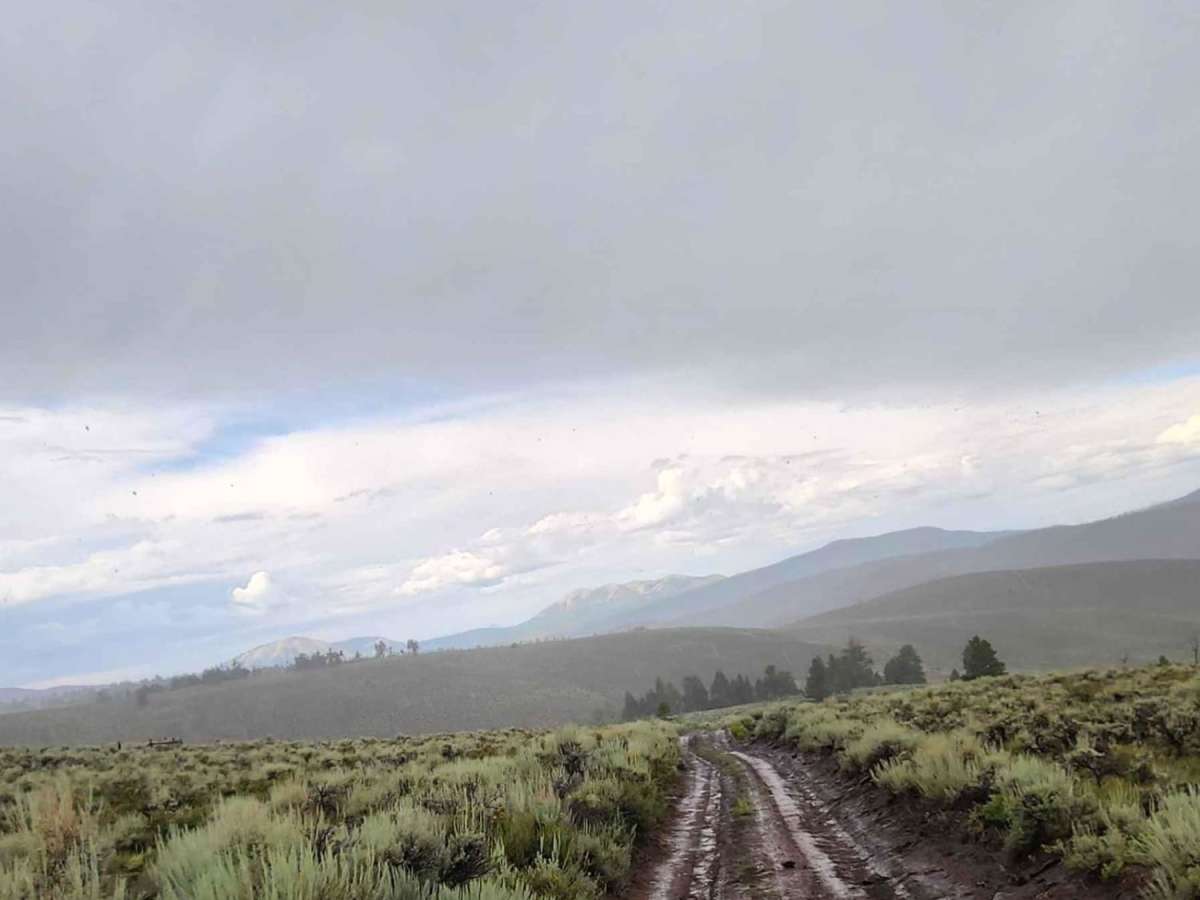 Deep Gulch Road trail photo