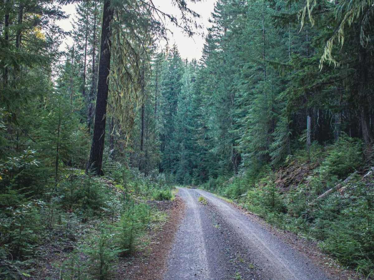 Trap Creek Loop photo 4