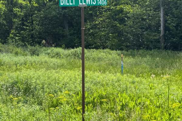 Billy Lewis Road
