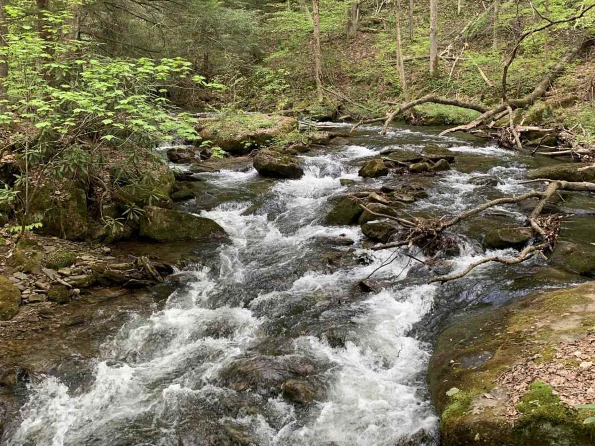 Table Falls Loop photo 2