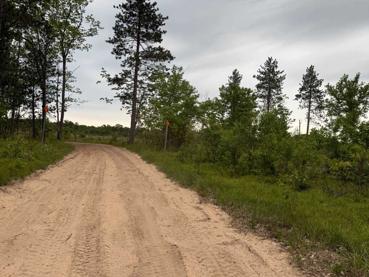North Boardman River Trail trail photo