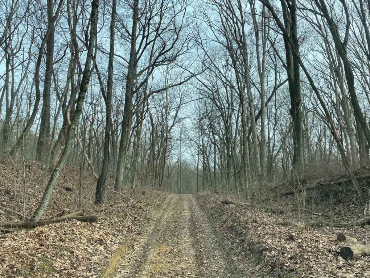 Redbird Trail 5 photo 6