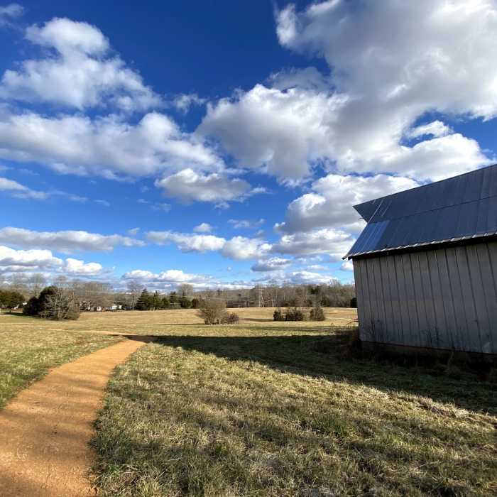 Near Forest Loop