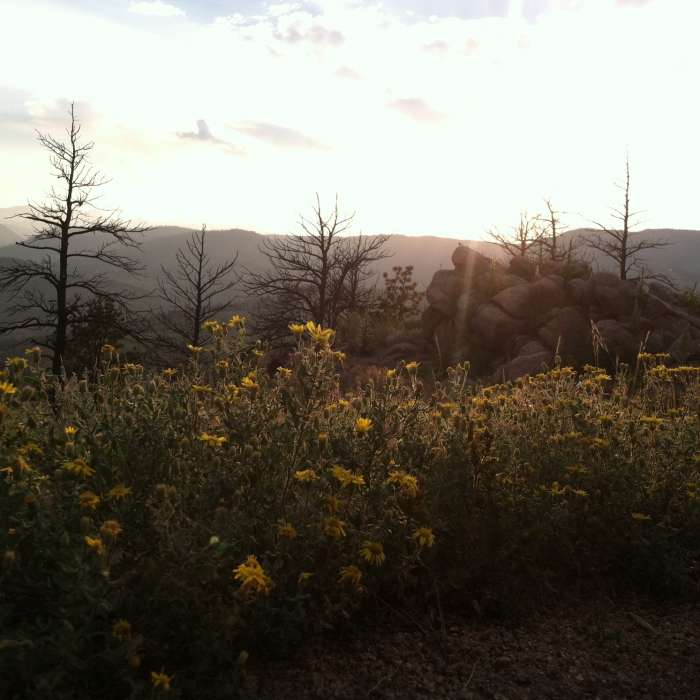 Sun setting behind the mountains. Near Pines to Peak Loop