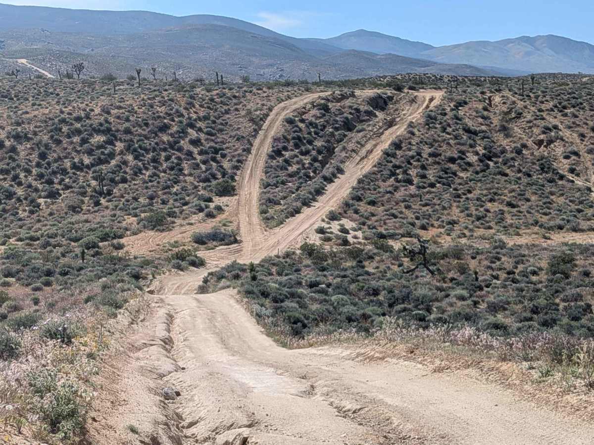 BLM SC129 trail photo