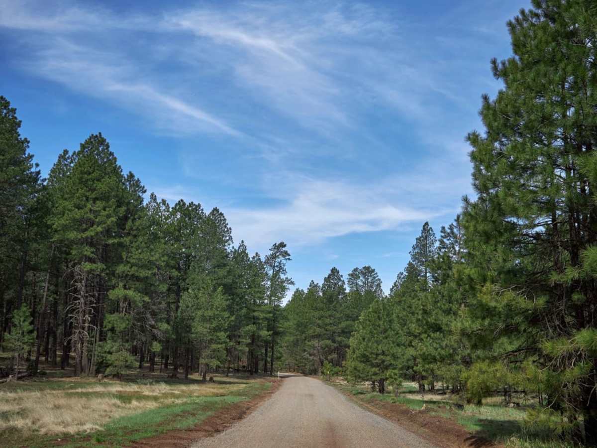 Casner Park photo 6