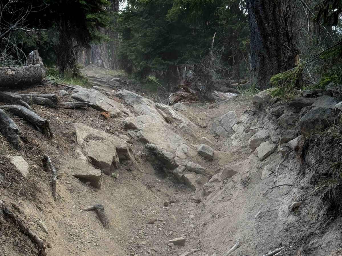 Frost Mountain - FS 1366  trail photo