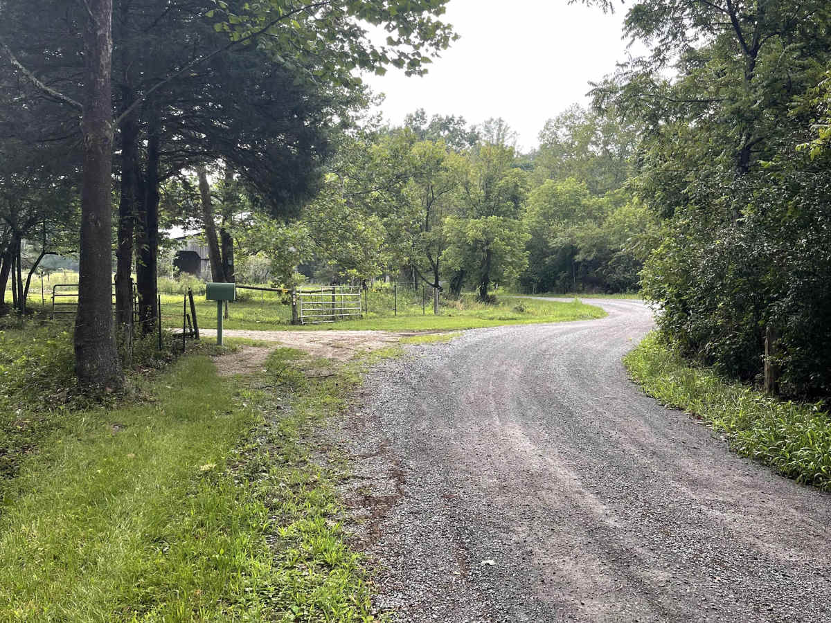 Fringer Trail trail photo