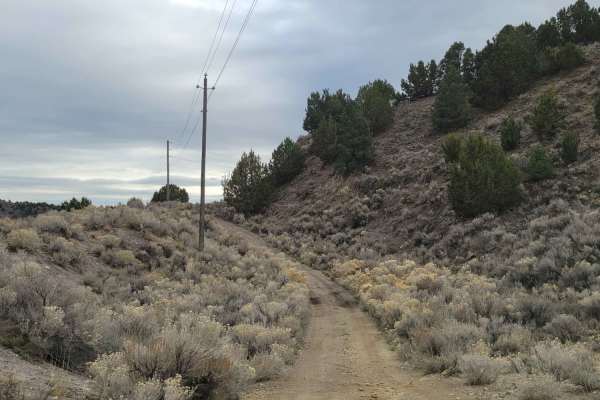 Pinyon Creek