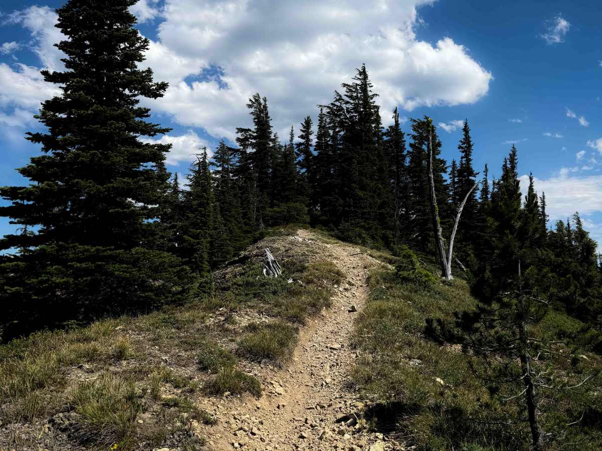 Upper Mount Clifty - FS 1321.1  photo 5