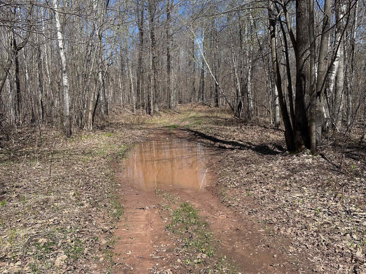 Hay Creek Trail trail photo