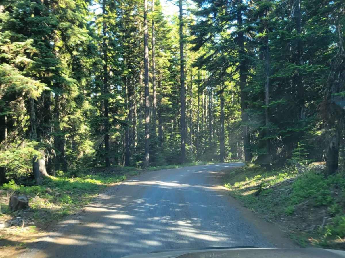 Lookout Mountain Road - FR 4410000 photo 4